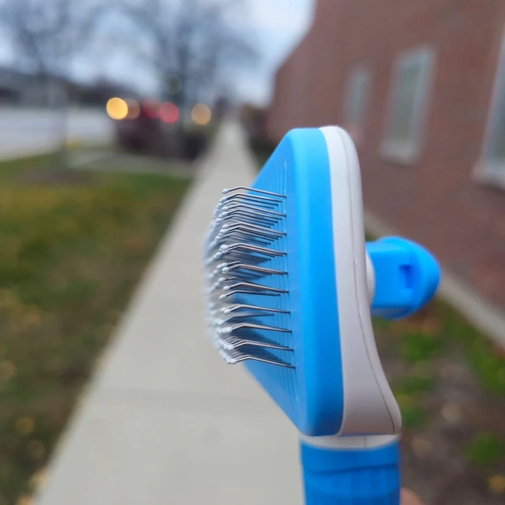 Blue Grooming Brush for cat